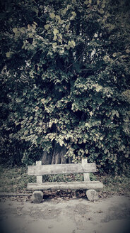 Empty bench - MAEF12456