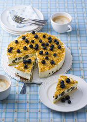 Blueberry cheese cake - PPXF00081