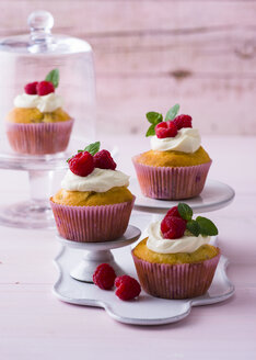 Raspberry cup cakes - PPXF00089