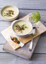 Cream of potato soup with North sea shrimps and dill - PPXF00091