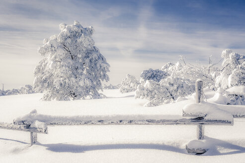 Deutschland, Baden Württemberg, Schliffkopf, Winterlandschaft im Schwarzwald - PUF00791