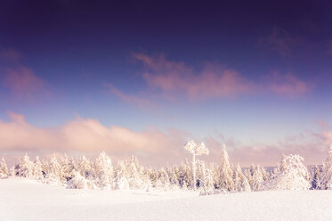 Germany, Baden-Wuerttemberg, Schliffkopf, winter landscape at Black forest - PUF00792