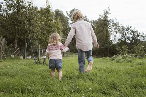 Rückenansicht eines Bruders und seiner kleinen Schwester, die barfuß auf einer Wiese laufen - KMKF00025