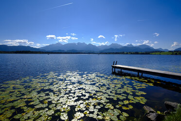 Germany, Bavaria, Swabia, East Allgaeu, Fuessen, Hopfen am See, Hopfensee, wooden boardwalk - LBF01684