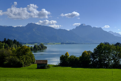 Deutschland, Bayern, Schwaben, Forggensee mit Tegelberg, Tannheimer Berge - LBF01685