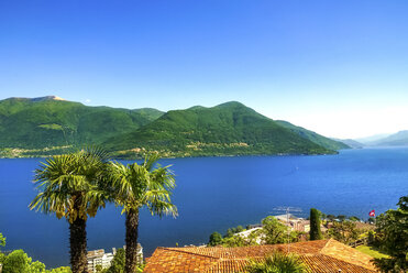 Schweiz, Tessin, Lago Maggiore, Cannobio, Palmen und Dach - PUF00821