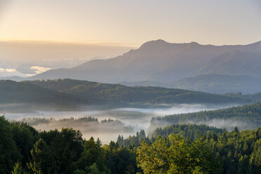 Deutschland, Bayern, Oberbayern, Pfaffenwinkel, bei Murnau, Morgennebel über der Aidlinger Höhe vor dem Herzogstand - LBF01690