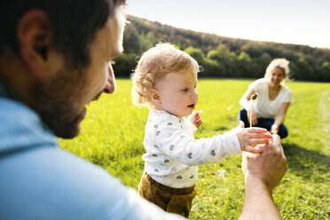 Cute little boy on meadow with parents examining dandelion - HAPF02295