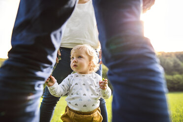 Cute little boy with parents on meadow - HAPF02301