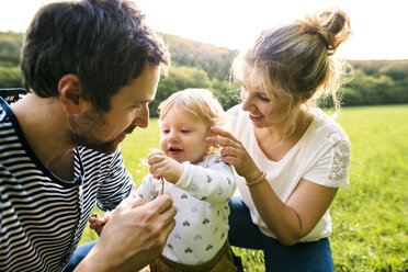 Cute little boy with parents on meadow - HAPF02303