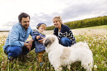 Cute little boy with parents and dog in dandelion field - HAPF02320