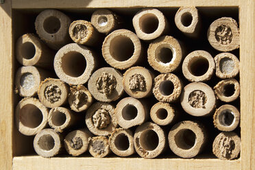 Insect hotel - CSF28378