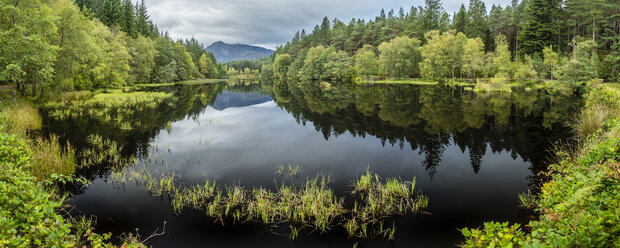Großbritannien, Schottland, Glencoe Lochan See, Glen Coe Nationalpark - STSF01323