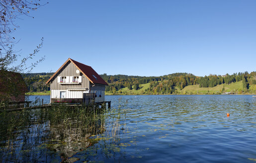 Deutschland, Bayern, Schwaben, Allgäu, Ostallgäu, Großer Alpsee in Bühl, Bootshaus - LHF00544