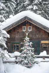 Austria, Altenmarkt-Zauchensee, Christmas tree at wooden house in snow - HHF05511