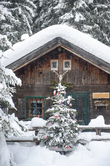 Austria, Altenmarkt-Zauchensee, Christmas tree at wooden house in snow - HHF05511