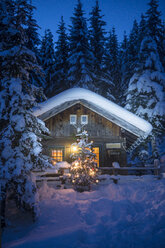 Austria, Altenmarkt-Zauchensee, Christmas tree at illuminated wooden house in snow at night - HHF05515