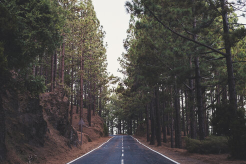 Spanien, Teneriffa, Naturpark Corona Forestal, leere Straße - SIPF01817