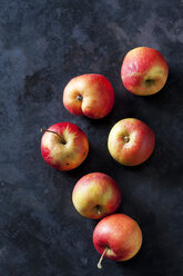 Organic Elstar apples on dark background - CSF28382