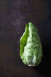 Sweetheart cabbage on dark background - CSF28401