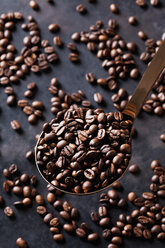 Freshly roasted coffee beans on a spoon - CSF28413