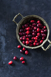 Cranberries in a bowl - CSF28438