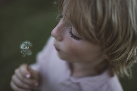 Boy blowing blowball stock photo