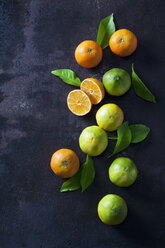 Bio-Mandarinen und -Zitronen auf dunklem Hintergrund - CSF28465