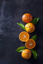 Sliced tangerines on dark backround - CSF28470