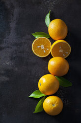Organic oranges in halves on dark background - CSF28472