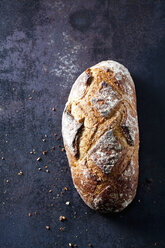 Fresh sourdough brown bread - CSF28490