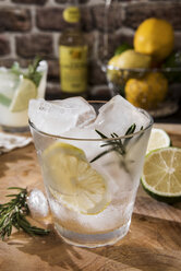 Ein Glas Gin Tonic mit Zitrone, Rosmarin und Eis - CSTF01425