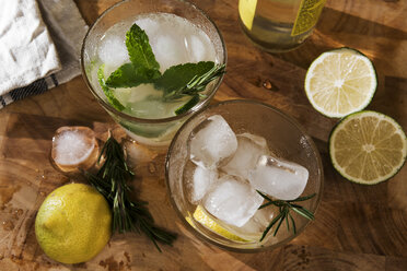 Glas Gin Tonic mit Limette, Minze, Rosmarin und Eis und Zitrone, Rosmarin und Eis - CSTF01426