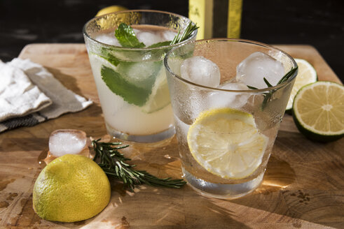Glasses of Gin Tonic with lime, mint, rosmary and ice and with lemon, rosmary and ice - CSTF01427