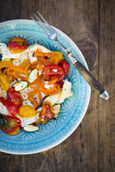 Baked goat cheese with paprika, tomato and zucchini - LVF06356