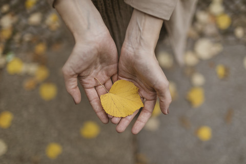 Frauenhände halten Herbstblatt, lizenzfreies Stockfoto