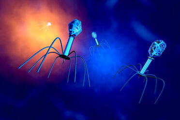 3D gerenderte Illustration einer anatomisch korrekten Konvergenz zu einer Gruppe von Bakteriophagenviren - SPCF00254