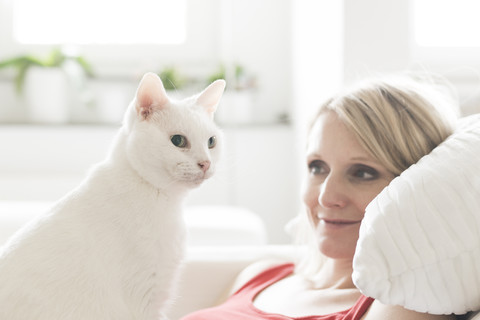 White cat and owner at home stock photo
