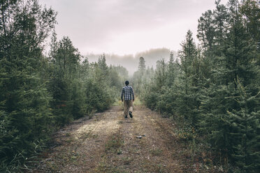 Man walking on path in forest - VPIF00244