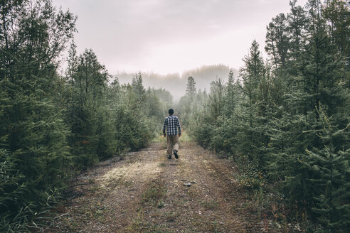 Mann geht auf einem Pfad im Wald - VPIF00244