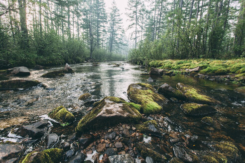 Fluss in ländlicher Landschaft - VPIF00248