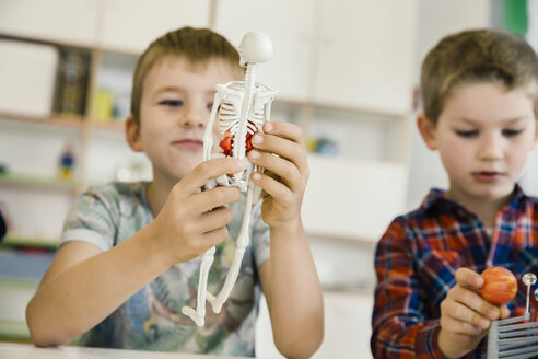 Boy holding anatomical model in kindergarten - MFF04123