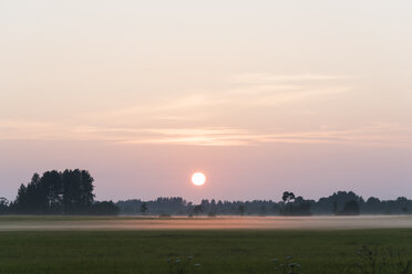 Estonia, Lahemaa National Park, meadows and fog at sunset - CSTF01459