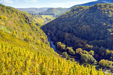 Germany, Rhineland-Palatinate, Ahr Valley, Altenahr, River Ahr and vineyards - FRF00594