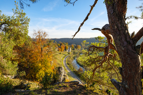 Deutschland, Bayern, Franken, Mittelfranken, Altmühltal, bei Solnhofen, Felsformation Zwölf Apostel, Altmühlfluss im Herbst, lizenzfreies Stockfoto