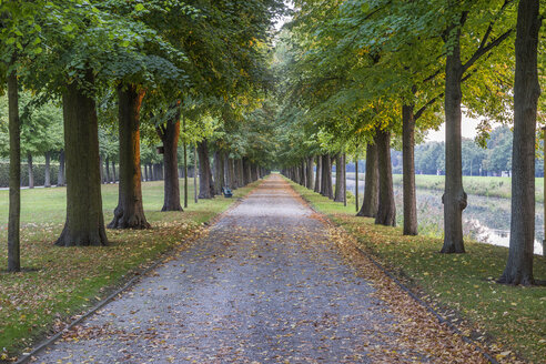 Deutschland, Niedersachsen, Hannover, Herrenhaeuser Gaerten, Allee im Herbst - PVCF01114