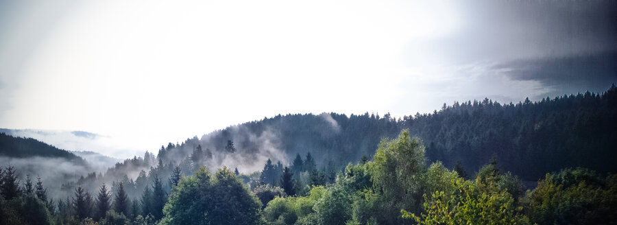 Gebirgszug in Oberfranken - CMF00729