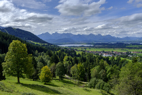 Deutschland, Bayern, Schwaben, Ostallgäu, Blick auf Lechtaler Alpen, Forggensee, Trauchgau und Halblech - LBF01699