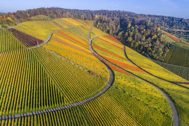 Deutschland, Stuttgart, Luftaufnahme der Weinberge am Kappelberg im Herbst - STSF01364