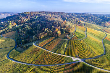 Deutschland, Stuttgart, Luftaufnahme der Weinberge am Kappelberg im Herbst - STSF01365